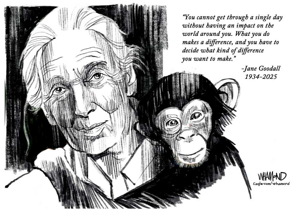 Jane Goodall RIP
