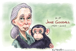 RIP JANE GOODALL by Ed Wexler