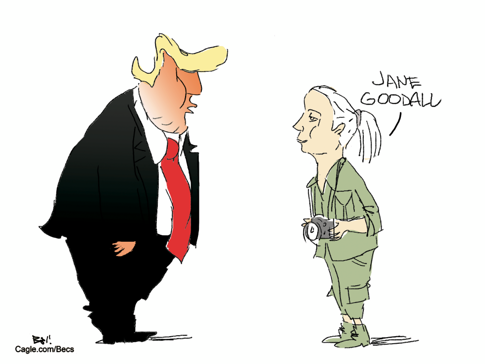 Jane Goodall