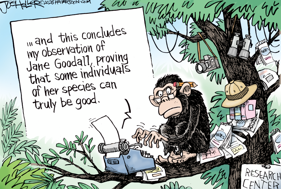 Jane Goodall