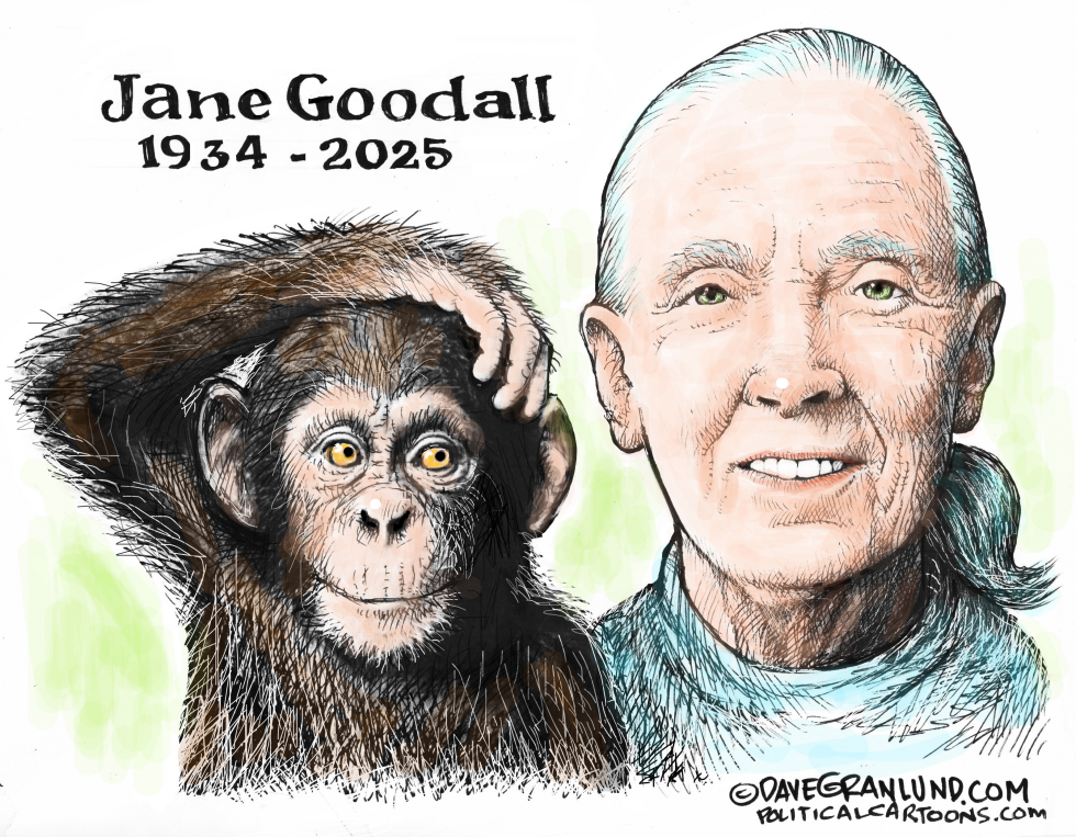 Jane Goodall tribute