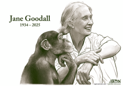 JANE GOODALL PORTRAIT by R.J. Matson