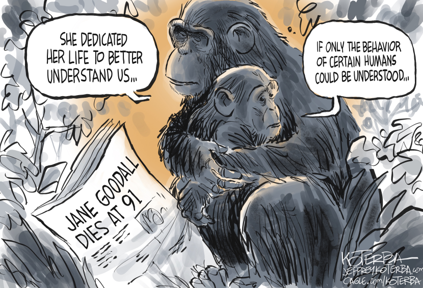 Jane Goodall