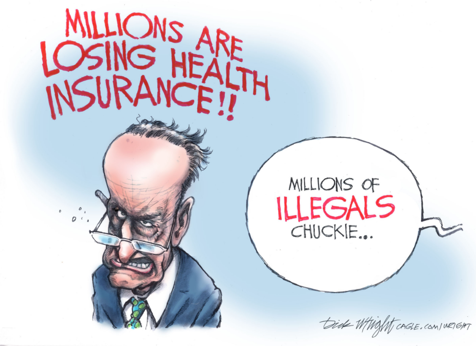 Schumer Shutdown