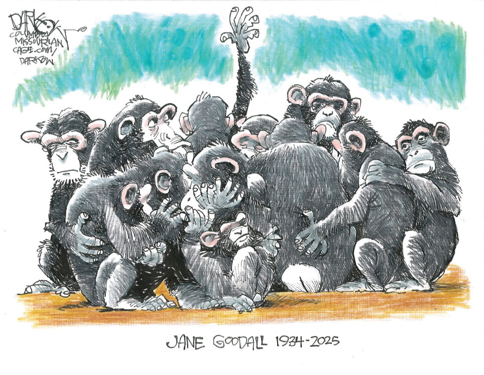 Jane Goodall