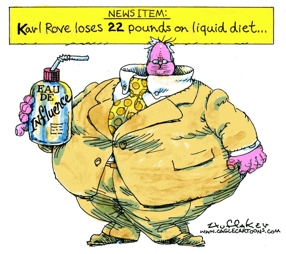 Karl Rove Influence COLOR