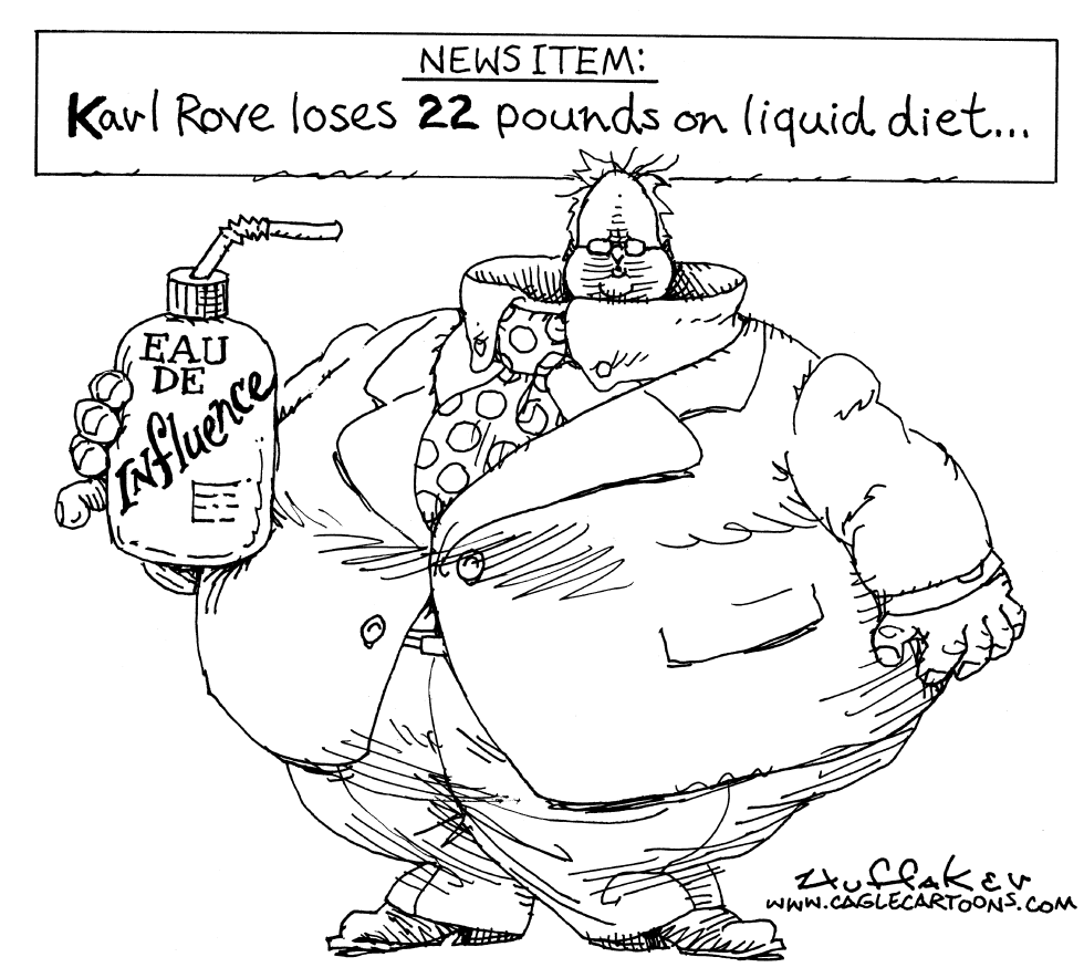 Karl Rove Influence