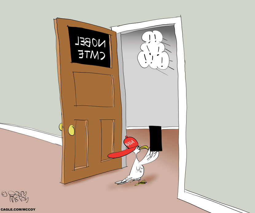 Peace Dove Mad About Nobel Prize