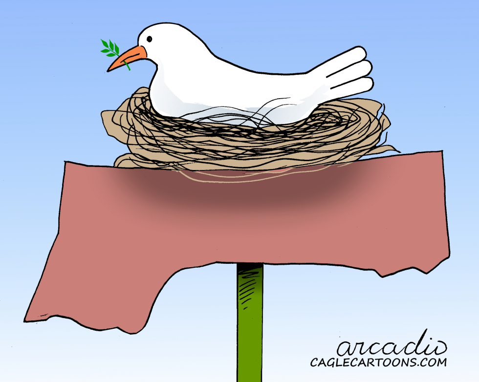 Gaza, new nest for peace.