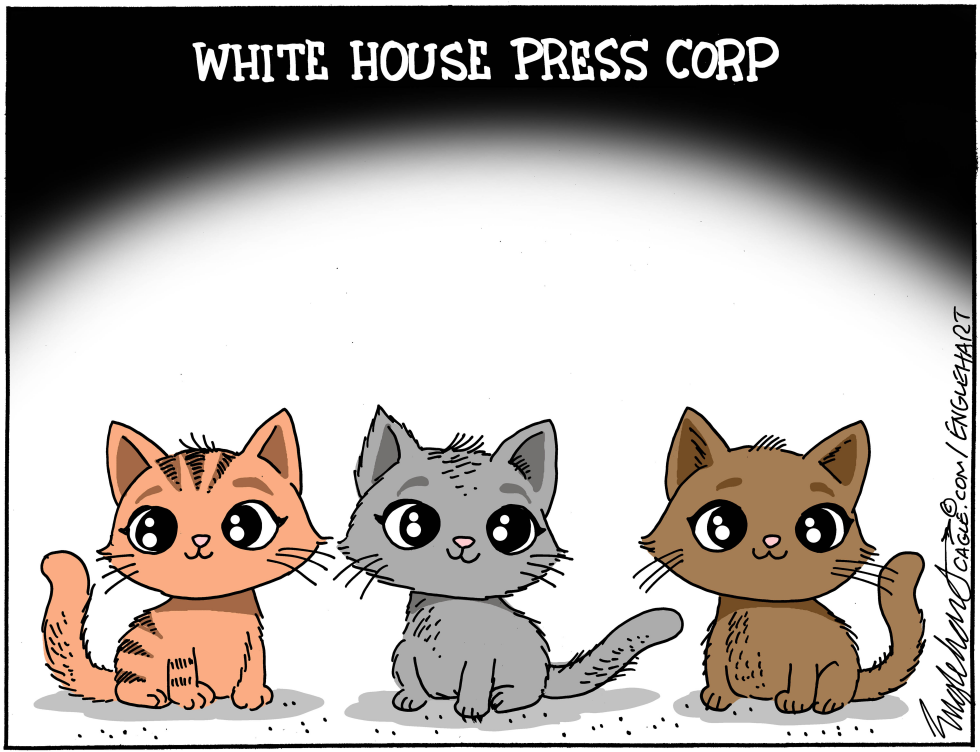 White House Press Corp