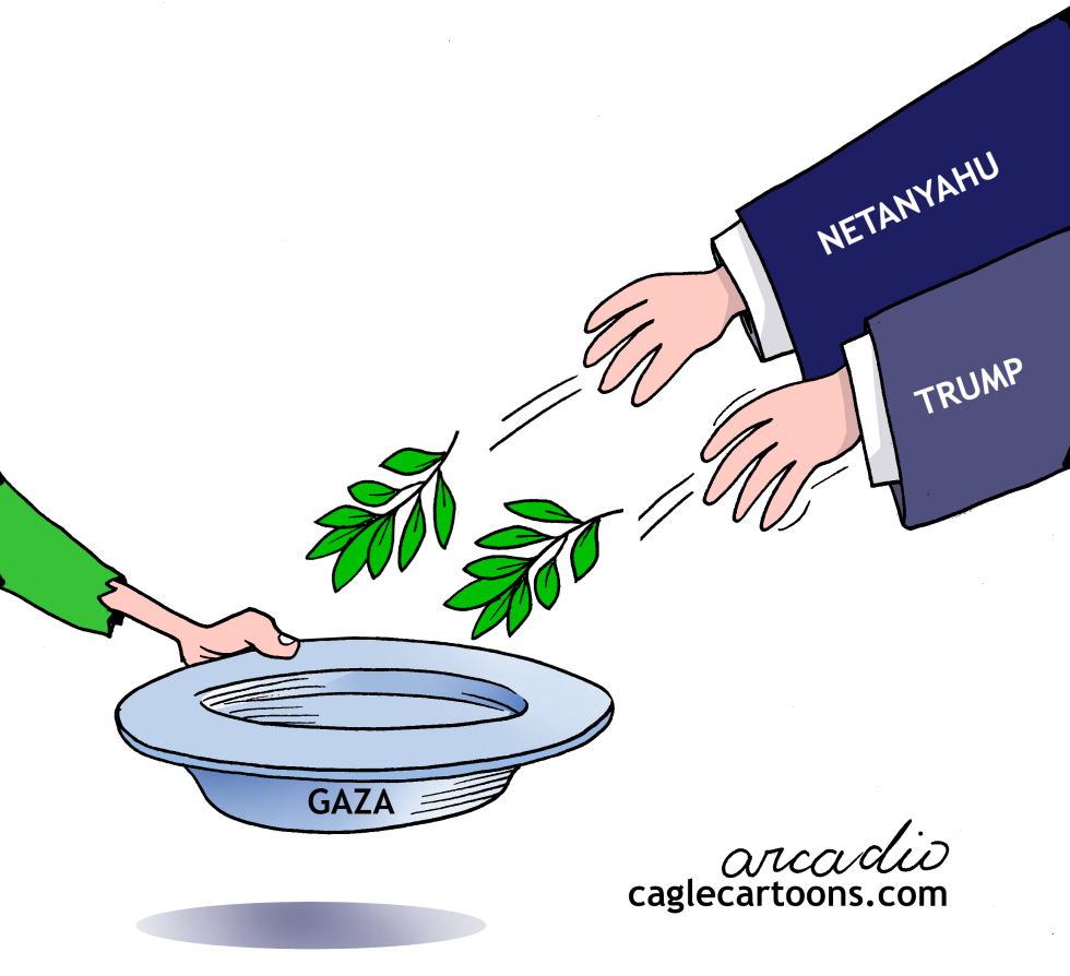 The fruit of peace for Gaza.