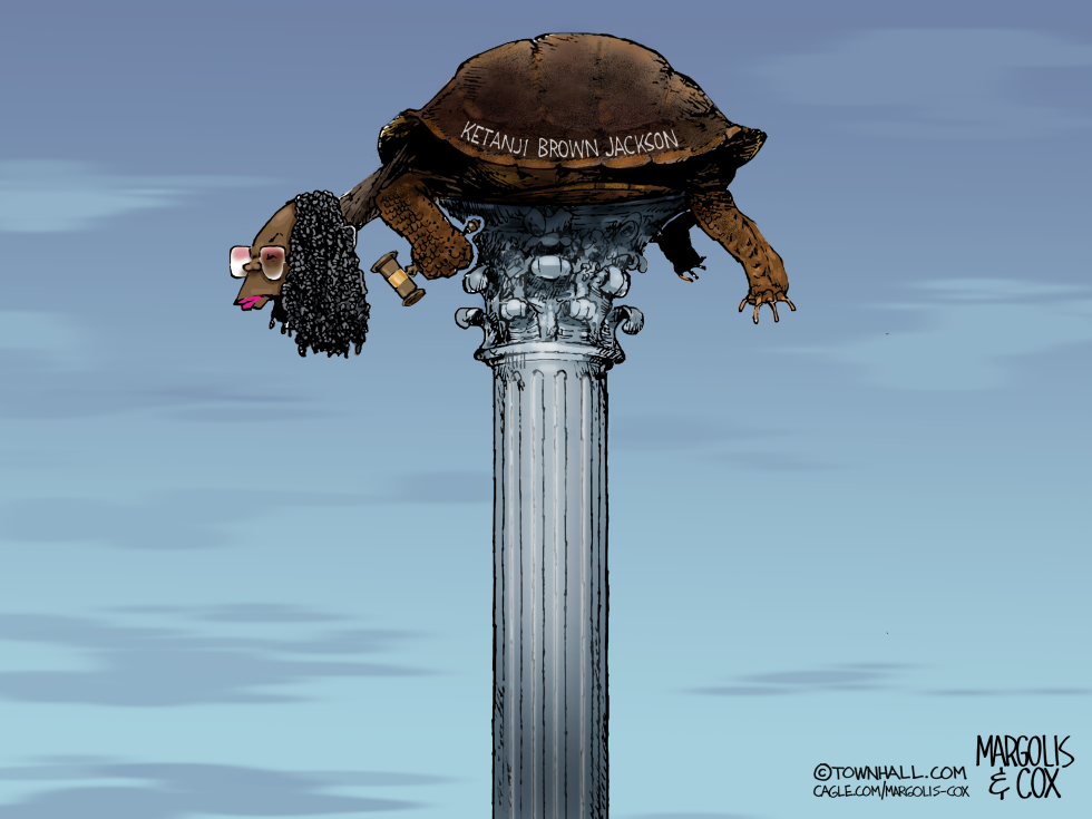 Justice Jackson the Post Turtle