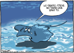 STEVE IRWIN /  by Bob Englehart