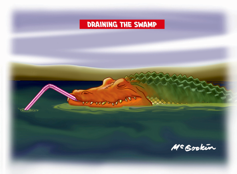 Trump Is The Swamp