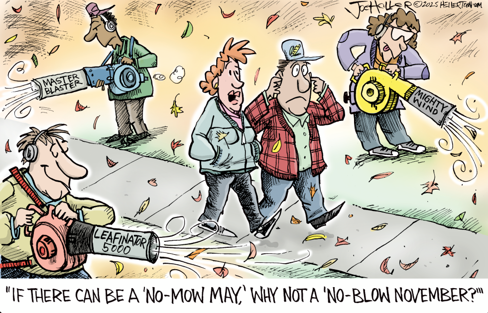 Autumn Noise