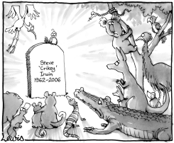 END OF THE CROC HUNTER by Peter Lewis