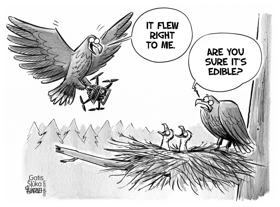 Eagles in the nest with a captured drone