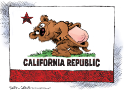 FOR WHEN CALIFORNIA PASSES PROP 50 by Daryl Cagle