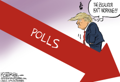 LATEST POLLING NUMBERS FOR THE PRESIDENT  by Jeff Koterba