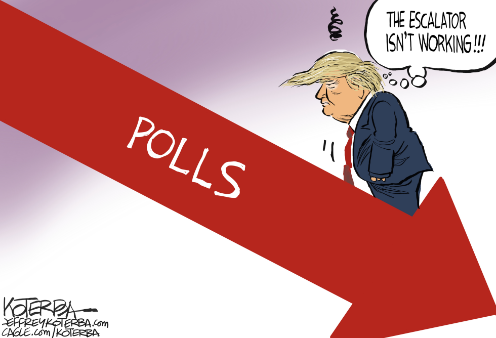 Latest polling numbers for the president