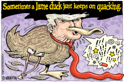 TRUMP AS LAME DUCK QUACKING by Monte Wolverton