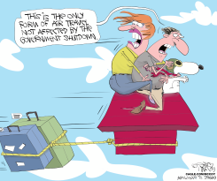 SNOOPY THE SHUTDOWN HERO by Gary McCoy