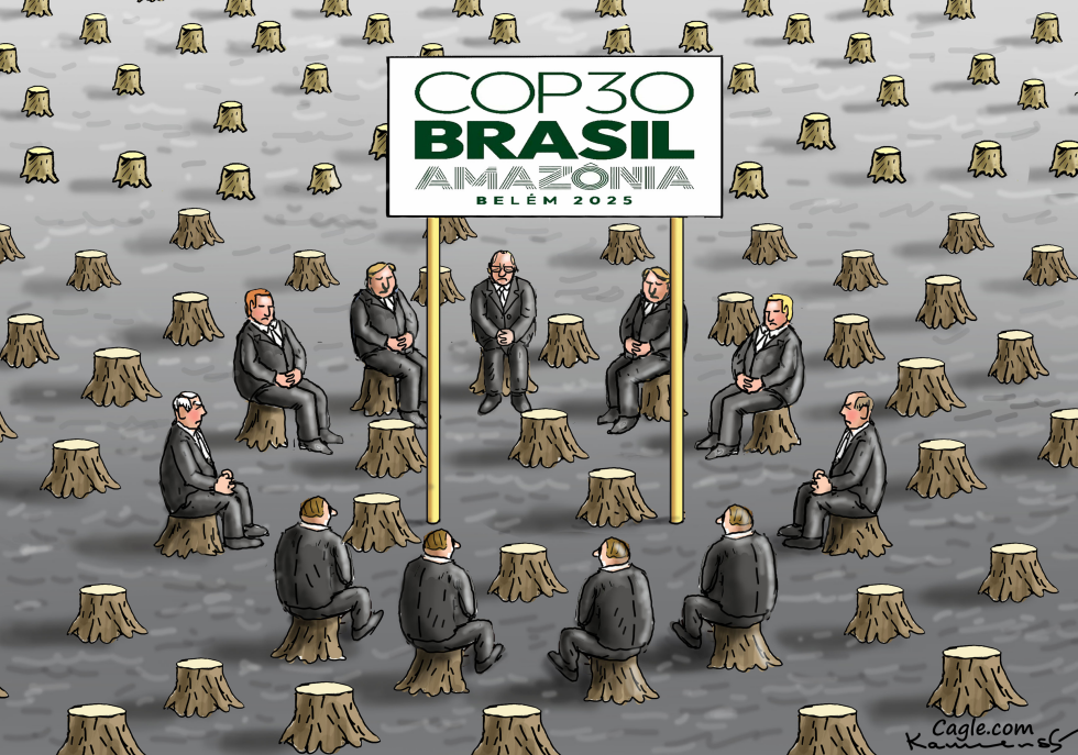 COP 30