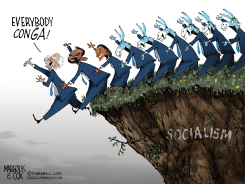 DEMOCRATS MARCHING OFF THE CLIFF OF SOCIALISM by Margolis & Cox