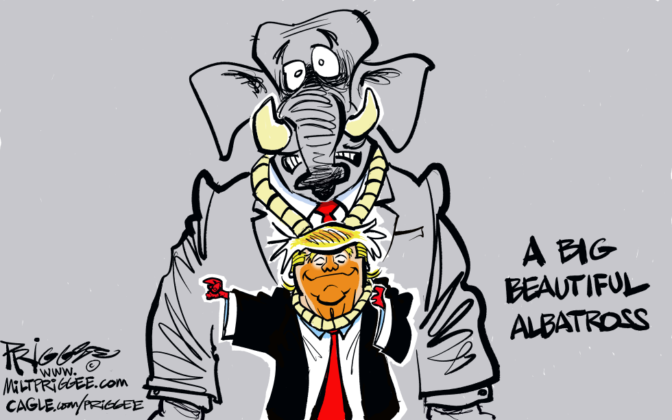 Albatross de Trump