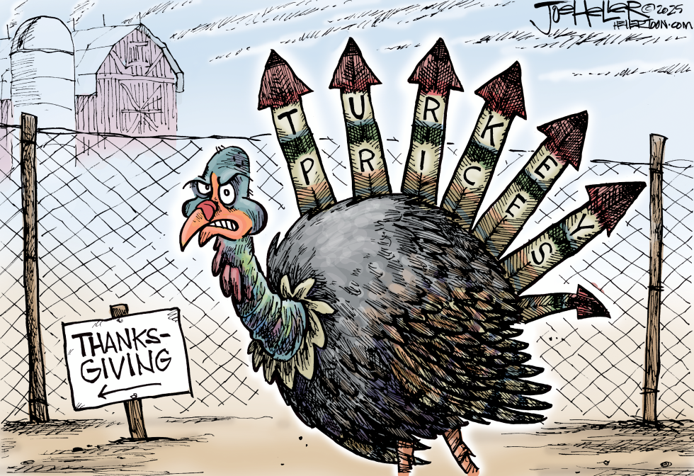 Turkey Prices