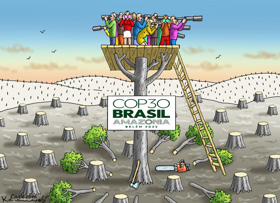 LOOKING FOR SOLUTIONS AT COP 30
