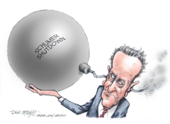 SCHUMER SHUTDOWN DISASTER by Dick Wright