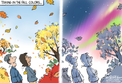 FALL S by Jeff Koterba