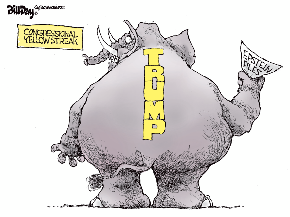 Congressional Yellow Streak