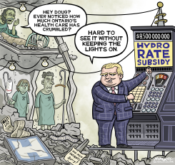 SUBSIDIES SHED LIGHT ON DISMAL HEALTH CARE by Graeme MacKay