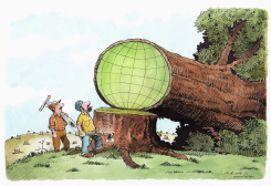 COP30, OUR FUTURE WITH CLIMATE CHANGE by Marco De Angelis