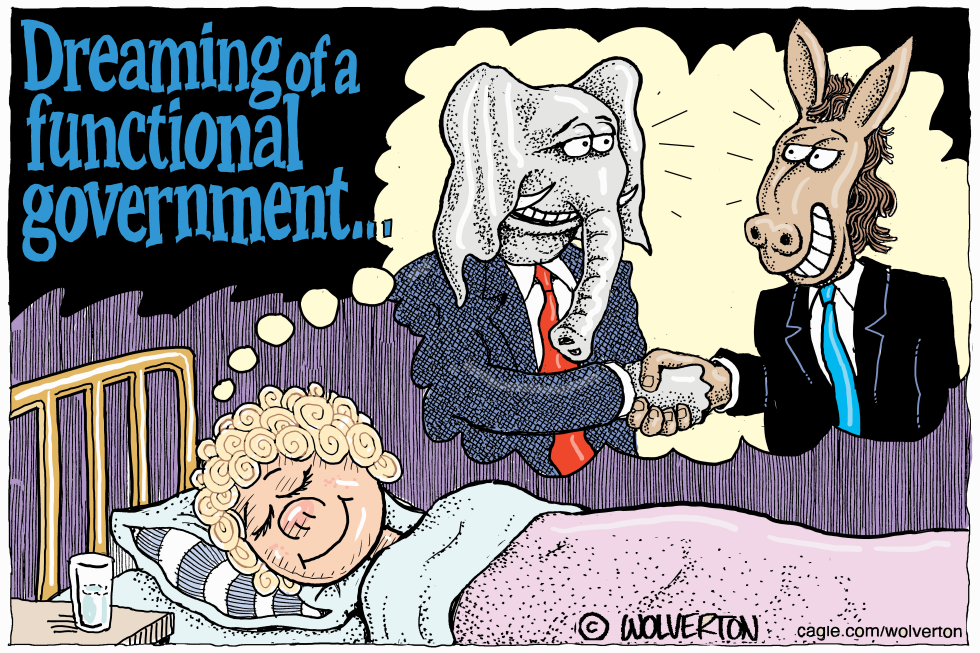 Little Kid Dreaming of a Functional Government