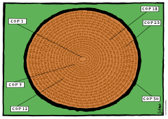 RINGS OF THE TREE CUT FOR CLIMATE SUMMIT by Schot