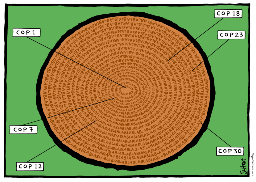 Rings of the tree cut for climate summit