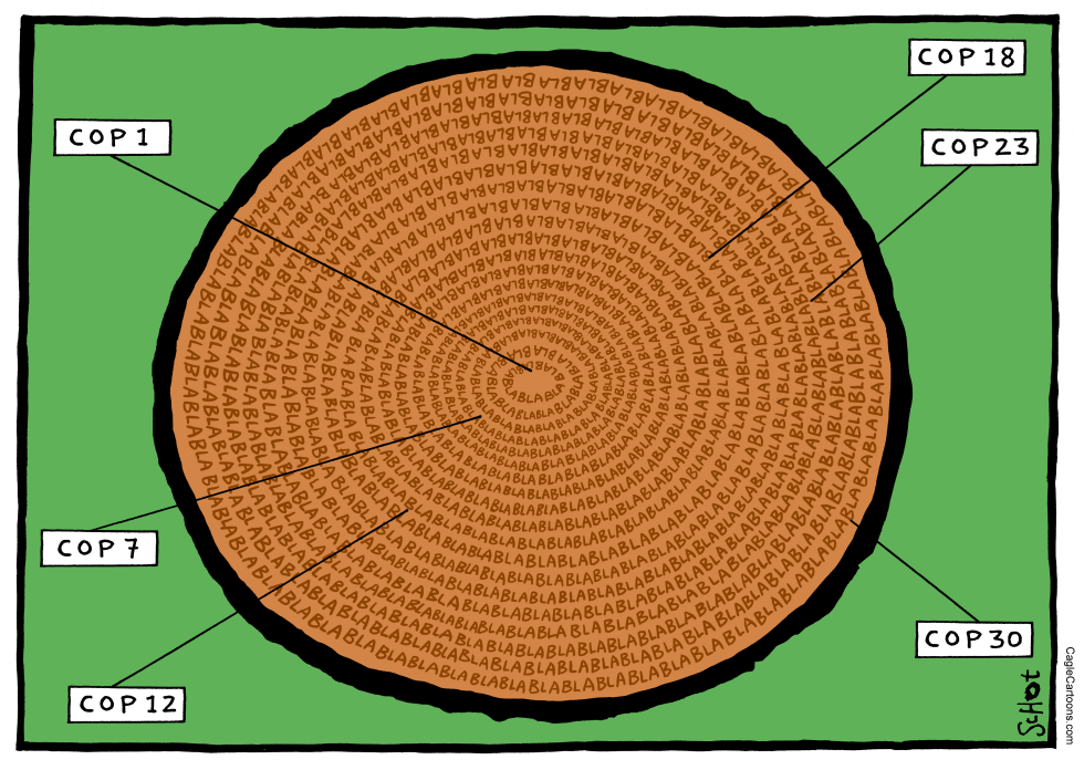 Rings of the tree cut for climate summit