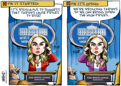 WHITE HOUSE FLIPS ON TARIFF POLICY by Dave Whamond