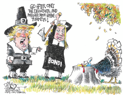 GO AFTER ONLY DEMOCRATS  by John Darkow