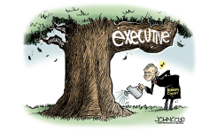 JOHN ROBERTS WATERS TREE OF AUTHORITARIANISM by John Cole