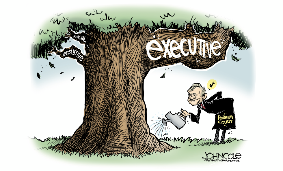 John Roberts Waters the Tree of Authoritarianism