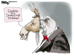 DEMOCRAT PROBLEM by Bill Day