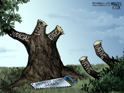 ROGUE JUDGES CUT OFF THE BRANCHES OF GOVERNMENT by Margolis & Cox