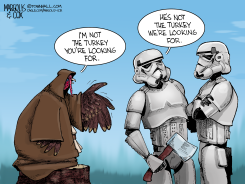 A NEW TURKEY by Margolis & Cox