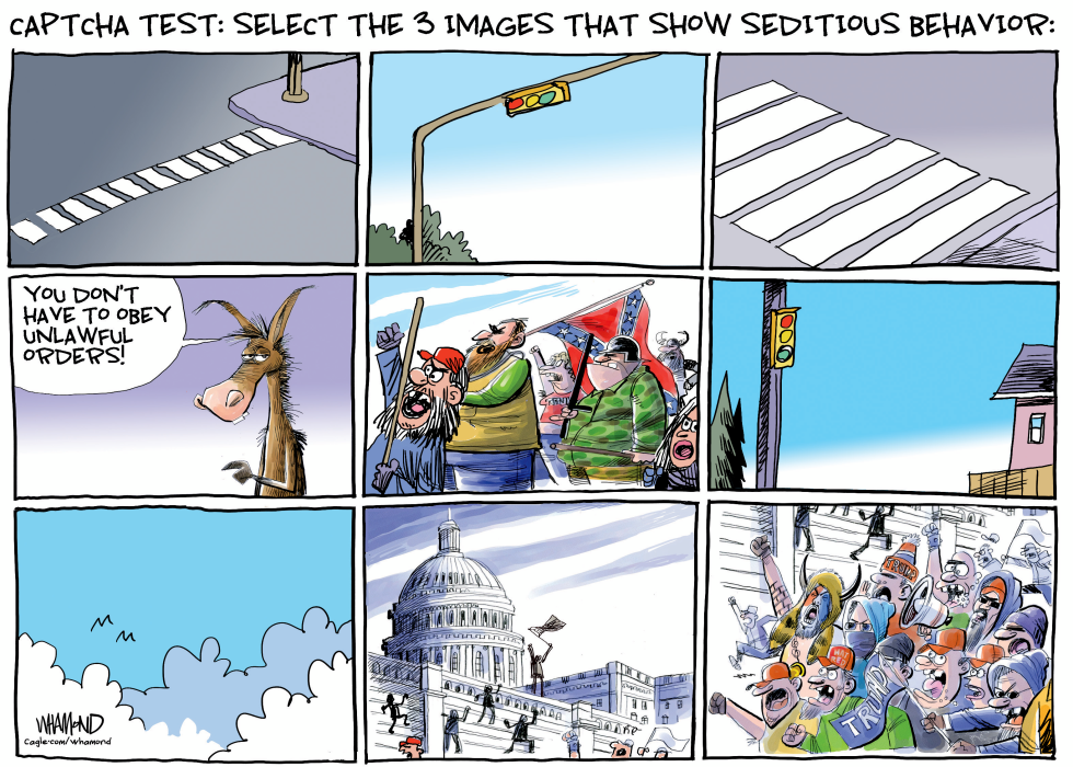 Seditious behavior