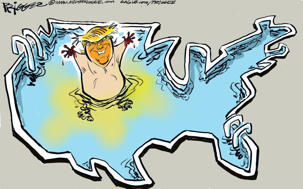 The Chlorine Kid