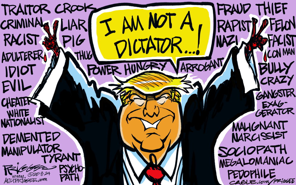 I am not a Dictator...